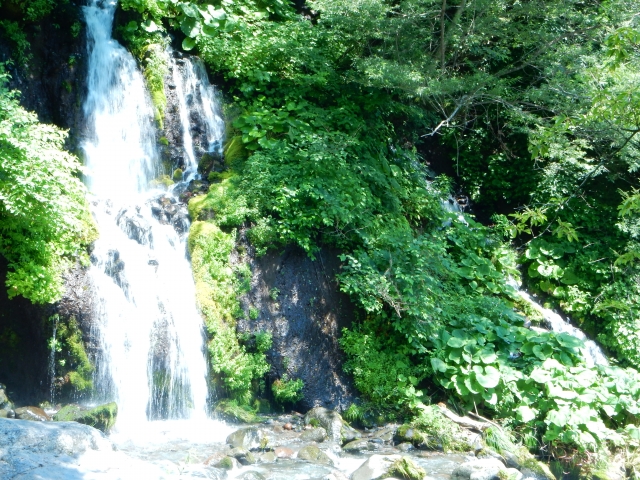 吐竜の滝