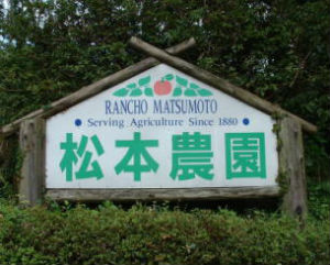 松本農園