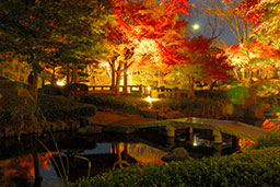 県立大磯城山公園