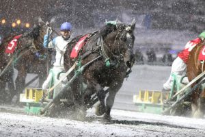 帯広競馬場