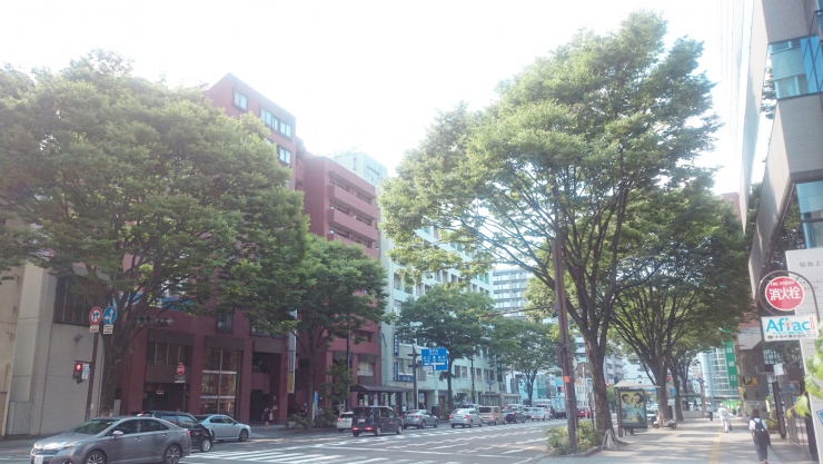 上杉