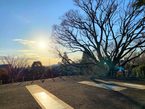 瀬田・上野毛